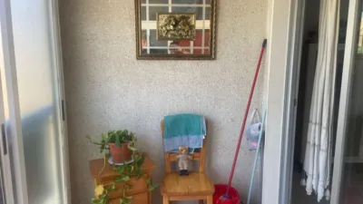 Apartment in Playa Lisa photo 11