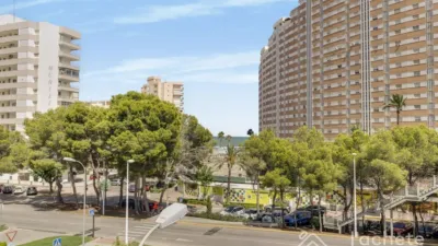 Apartment on Carrer Rafael Alberti photo 38