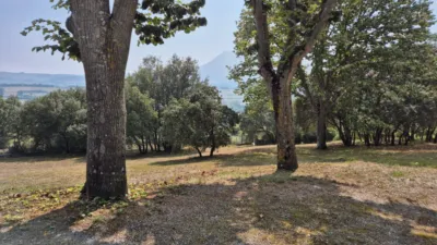 House in Maltrana photo 42