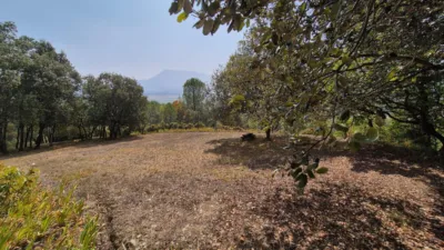 House in Maltrana photo 44