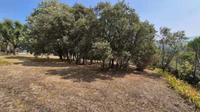House in Maltrana photo 46