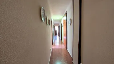 Apartment in Plaza San Francisco photo 18