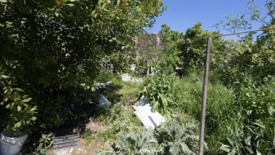 Terraced house on Calle Azucenas, No. 1 photo 5