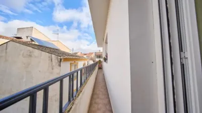 Apartment on Luis Magaña Street photo 12