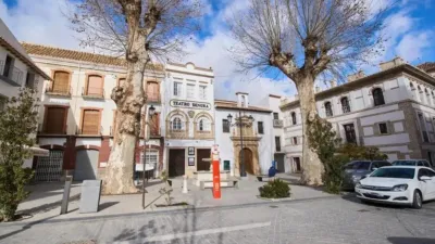 Apartment on Luis Magaña Street photo 13