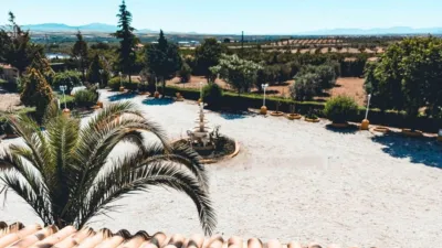 Rustic Finca on Ctra de Caniles photo 11