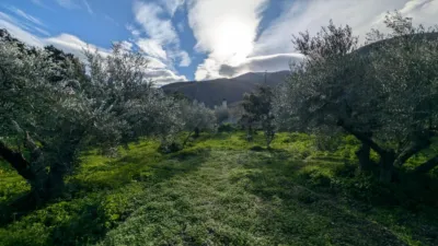 Rustic Finca in South Of Spain photo 12