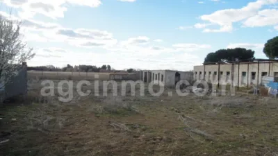 Rustic farm on Camino de La Vega street, no. 2 photo 2
