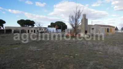 Rustic farm on Camino de La Vega street, no. 2 photo 3