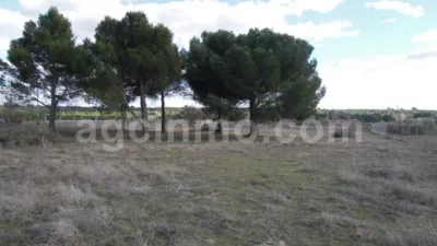 Rustic farm on Camino de La Vega street, no. 2 photo 7