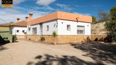 Rustic Finca on Calle Paraje Apolo N-14 photo 28