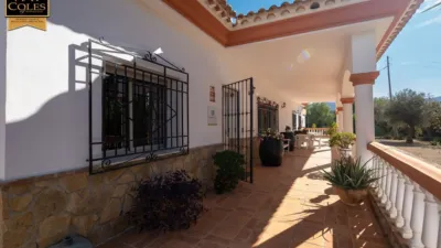 Rustic Finca on Calle Paraje Apolo N-14 photo 3
