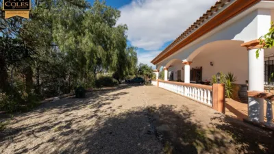 Rustic Finca on Calle Paraje Apolo N-14 photo 4