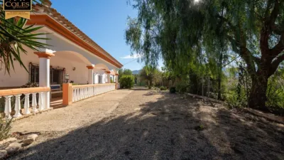 Rustic Finca on Calle Paraje Apolo N-14 photo 5