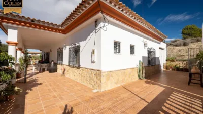 Rustic Finca on Calle Paraje Apolo N-14 photo 6
