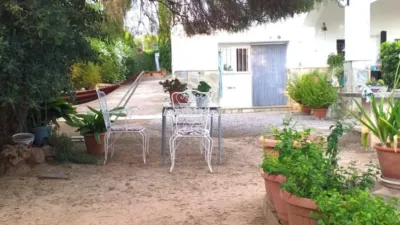 Chalet in Partida de la Lloma Llarga photo 46