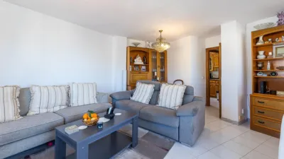 Apartment on Carrer de Bartomeu Quetglas photo 9