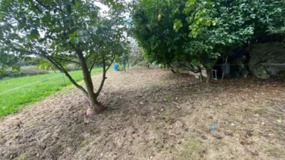 House in Argoños photo 18