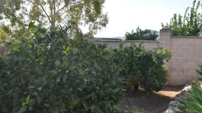 Rustic finca in Dehesa Baja photo 41