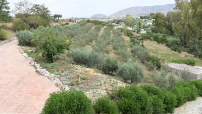 Rustic finca in Alquería-Torrealquería photo 17