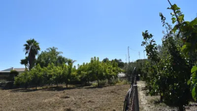 Finca rústica en venta en Alhaurín El Grande, Cortes-Huertas (Distrito Centro. Madrid Capital) de 490.000 €