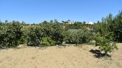 Finca rústica en venta en Alhaurín El Grande, Cortes-Huertas (Distrito Centro. Madrid Capital) de 490.000 €