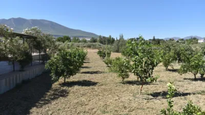 Finca rústica en venta en Alhaurín El Grande, Cortes-Huertas (Distrito Centro. Madrid Capital) de 490.000 €