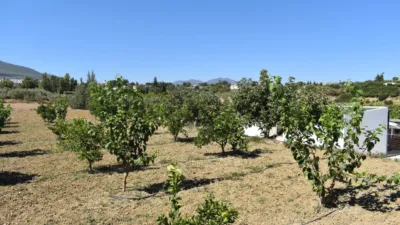 Finca rústica en venta en Alhaurín El Grande, Cortes-Huertas (Distrito Centro. Madrid Capital) de 490.000 €