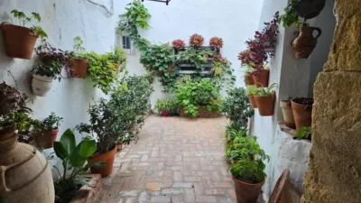 House in the Old Town photo 27