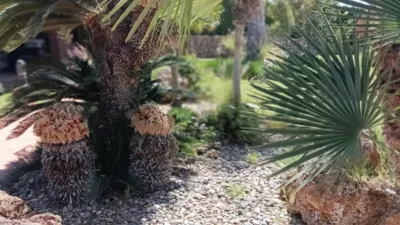Rustic Finca on the Costa del Sol photo 100