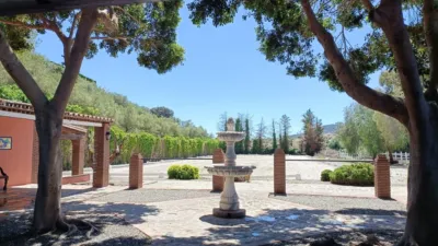 Rustic Finca on the Costa del Sol photo 13