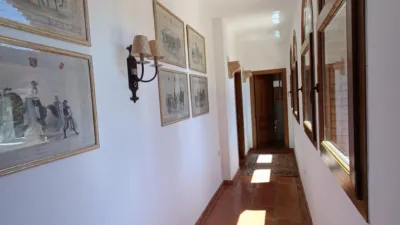 Rustic Finca on the Costa del Sol photo 38