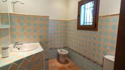 Rustic Finca on the Costa del Sol photo 46