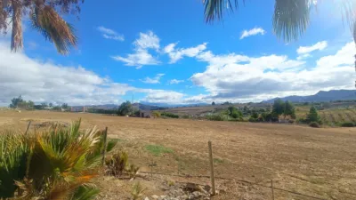 Rustic Finca in Piegallina photo 15