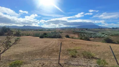 Rustic Finca in Piegallina photo 19