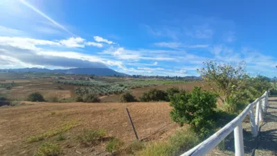 Rustic Finca in Piegallina photo 21