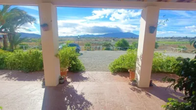 Rustic Finca in Piegallina photo 54