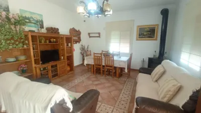 Rustic Finca in Piegallina photo 61