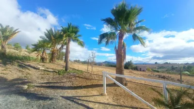Rustic Finca in Piegallina photo 8
