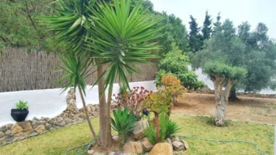 Chalet in Zahora photo 26