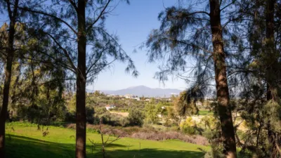 Casa adosada en Buenavista-Lauro Golf photo 10