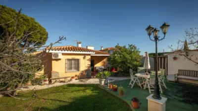 Villa in Ardelejos - Cuesta de La Palma - Buenavista photo 14