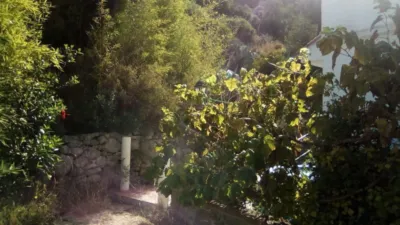 House in Vejer de La Frontera photo 2