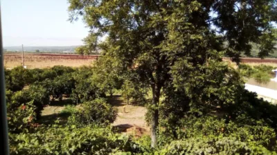 House in Vejer de La Frontera photo 4