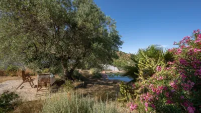 Rustic finca in South Of Spain photo 17
