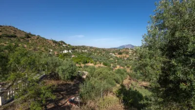 Rustic finca in South Of Spain photo 18