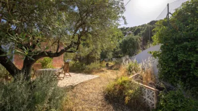Rustic finca in South Of Spain photo 21