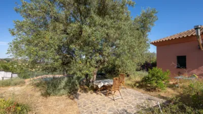 Rustic finca in South Of Spain photo 22