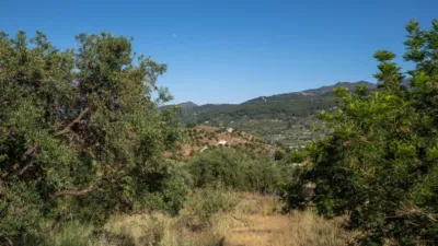 Rustic finca in South Of Spain photo 27