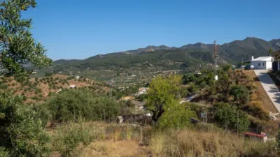 Rustic finca in South Of Spain photo 28